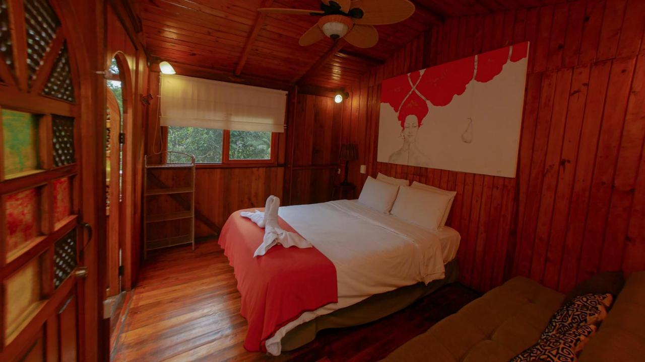 https://hosteria-saguamby-mindo-villa.hotelmix.es/data/Photos/OriginalPhoto/13483/1348359/1348359206/Saguamby-Mindo-Lodge-Exterior.JPEG